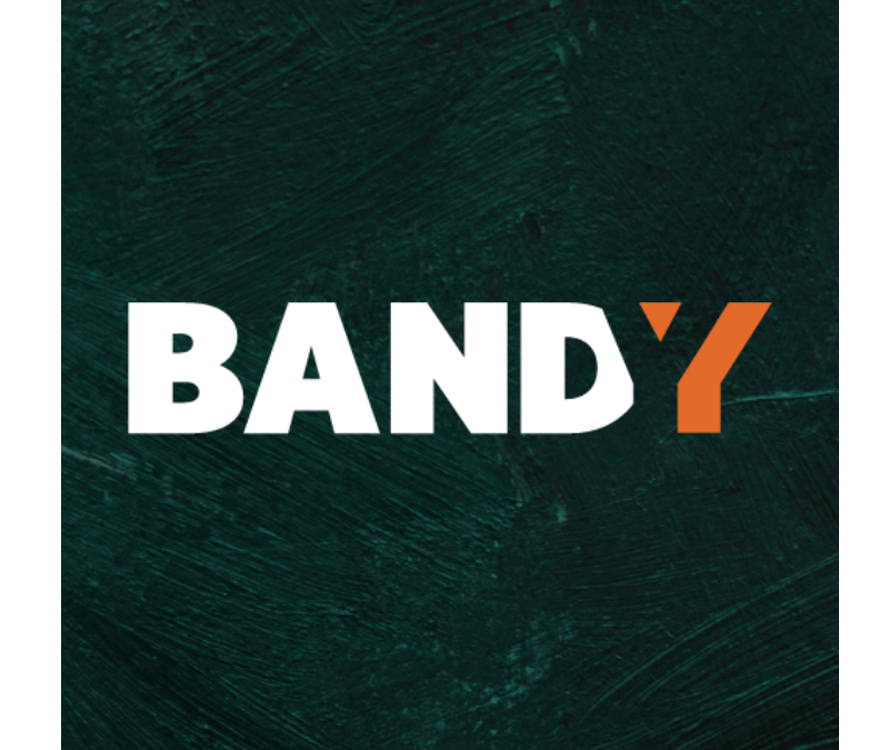 BANDYY