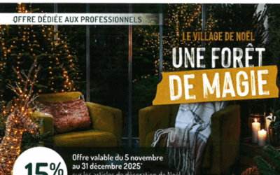 BOTANIC :15 % de remise sur les articles de décoration de Noel
