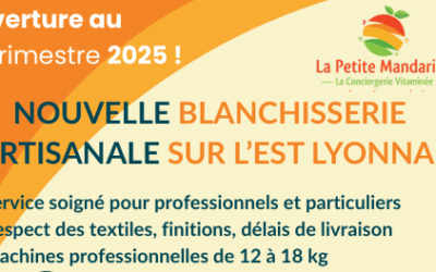 La Petite Mandarine : Nouvelle blanchisserie à Saint-Priest